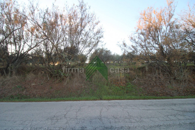Terreno Agricolo in vendita a Bellante