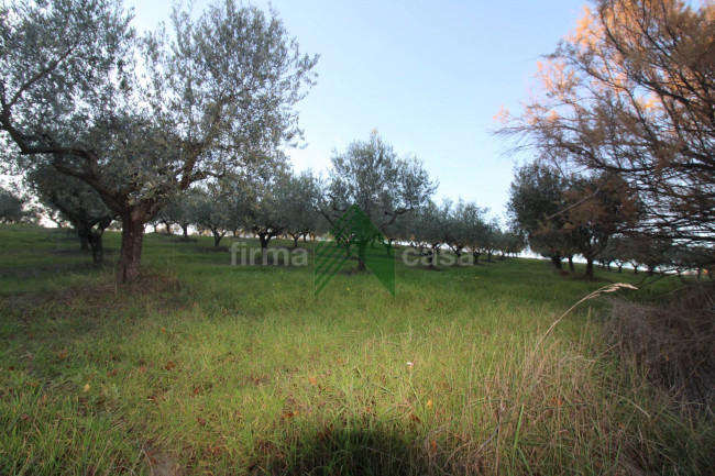 Terreno Agricolo in vendita a Bellante