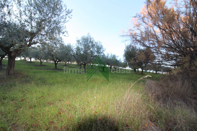 Terreno Agricolo in vendita a Bellante