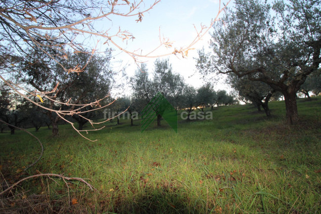 Terreno Agricolo in vendita a Bellante