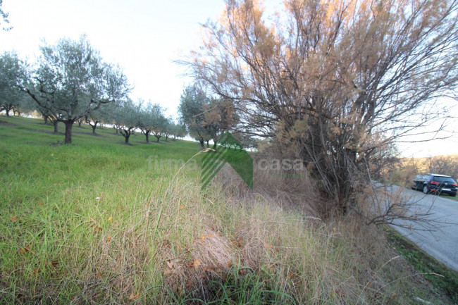 Terreno Agricolo in vendita a Bellante