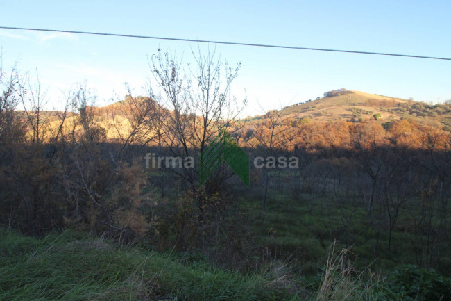 Terreno Agricolo in vendita a Bellante