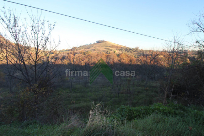 Terreno Agricolo in vendita a Bellante