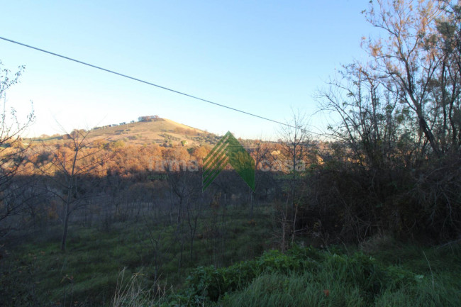 Terreno Agricolo in vendita a Bellante