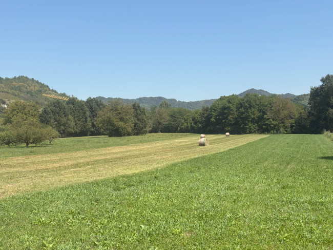 Appartamento in vendita a Casalborgone