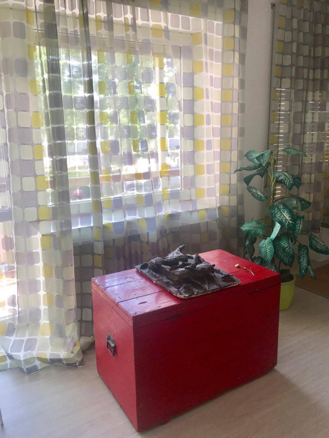 Appartamento in affitto a Venezia Mestre