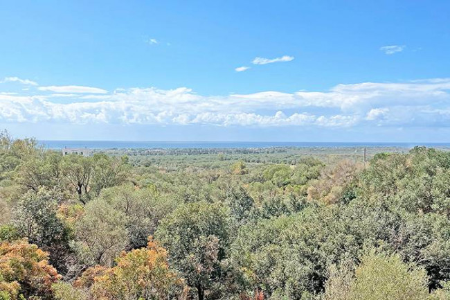 Villa in vendita a San Pietro In Bevagna, Manduria (TA)