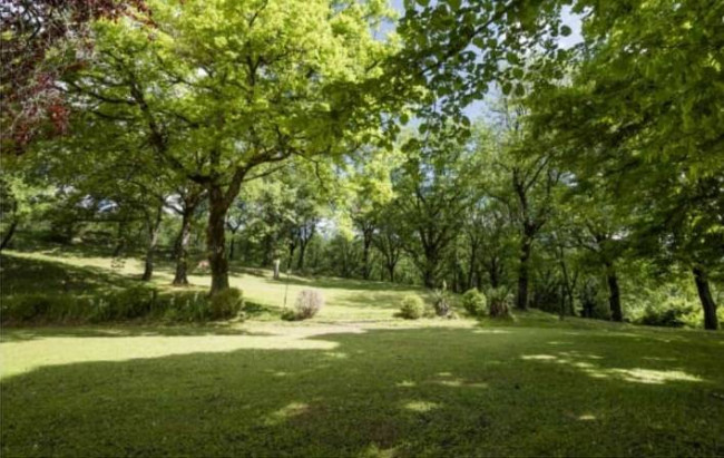 Villa in vendita a Barberino Di Mugello (FI)