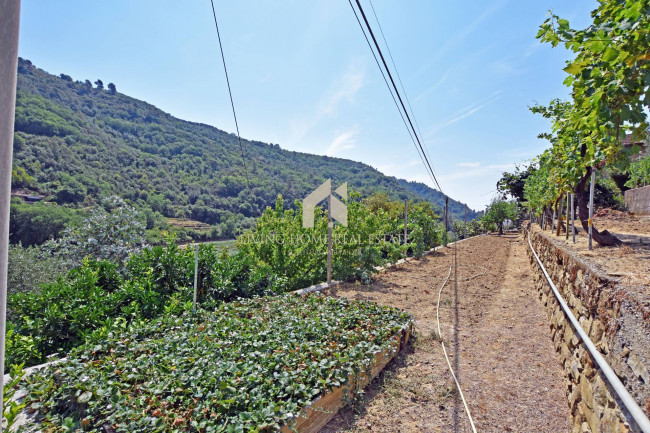 Villa in vendita a Dolceacqua