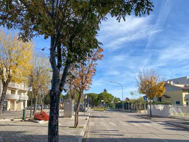 Locale commerciale in vendita a Fossacesia