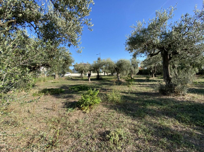 Terreno edificabile in vendita a Treglio