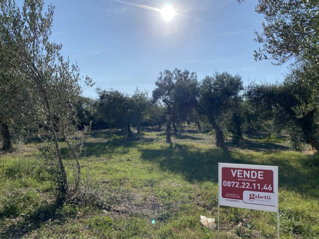 Terreno edificabile in vendita a Treglio