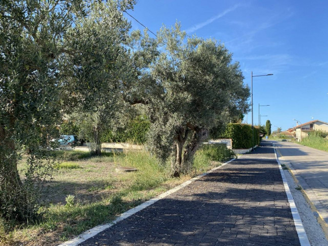 Terreno edificabile in vendita a Treglio