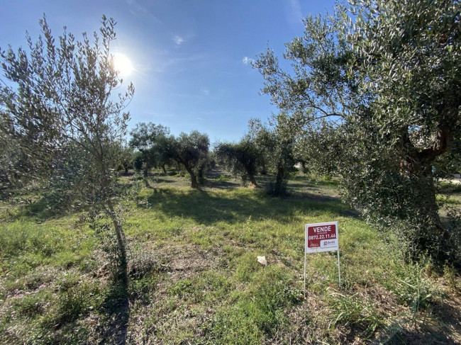 Terreno edificabile in vendita a Treglio