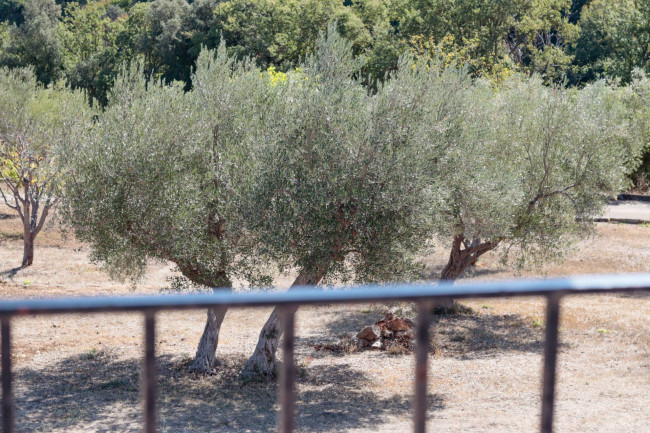 Casa singola in vendita a Fossacesia