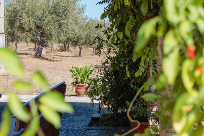 Casa singola in vendita a Fossacesia