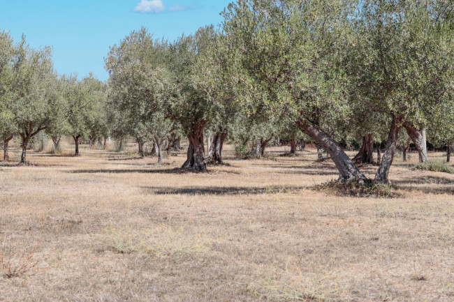 Casa singola in vendita a Fossacesia