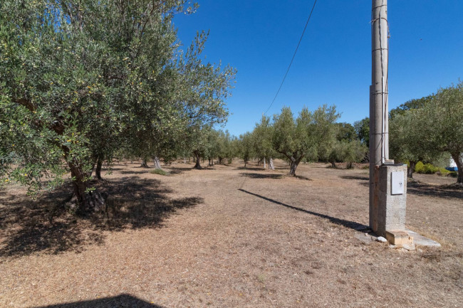 Casa singola in vendita a Fossacesia