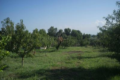Appartamento in vendita a Torrevecchia Teatina