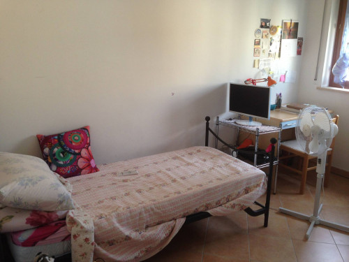 Camera Singola in affitto a Chieti