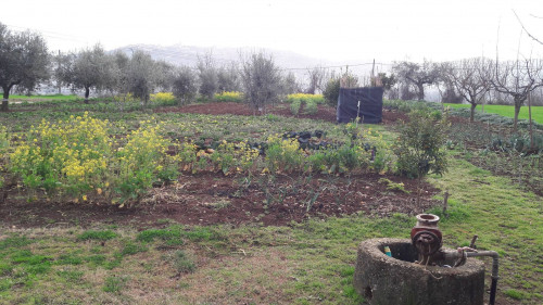 Terreno edificabile in vendita a Cepagatti