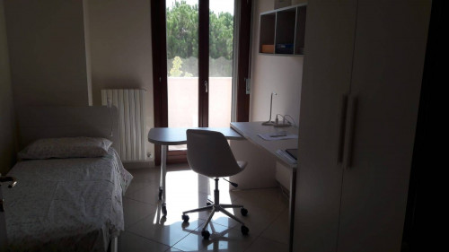 camere singole in affitto a Chieti