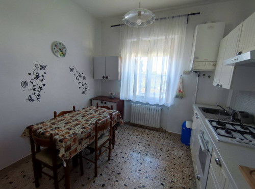 Camera Singola in affitto a Chieti