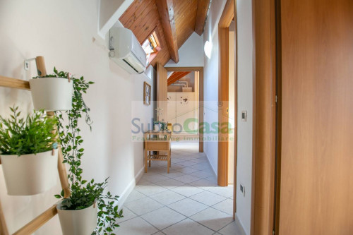 Camera Singola in affitto a Chieti