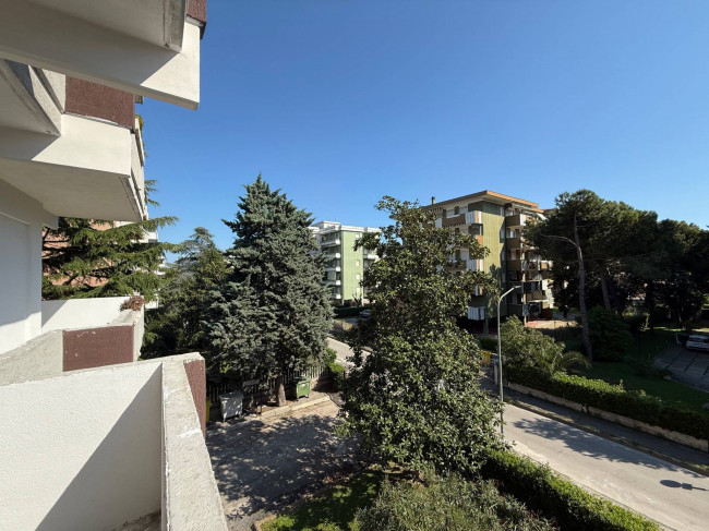 Appartamento in affitto a Silvi