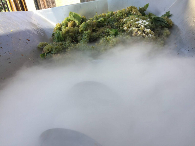 Azienda Agricola in vendita a Offida