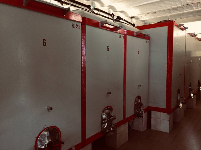 Azienda Agricola in vendita a Offida