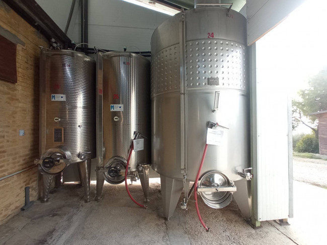 Azienda Agricola in vendita a Offida