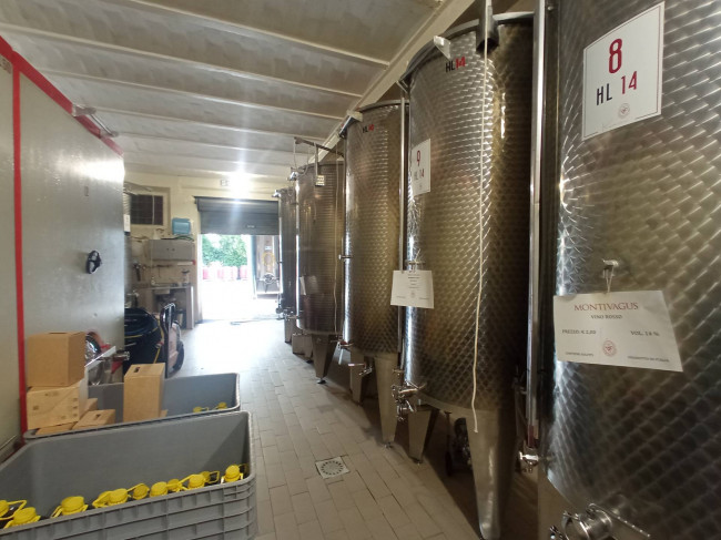 Azienda Agricola in vendita a Offida