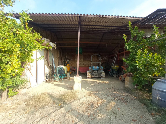 Azienda Agricola in vendita a Offida