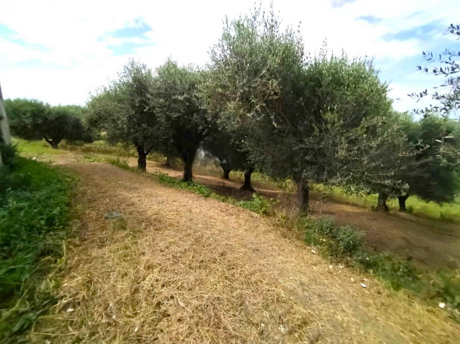 Rustico in vendita a Monteprandone