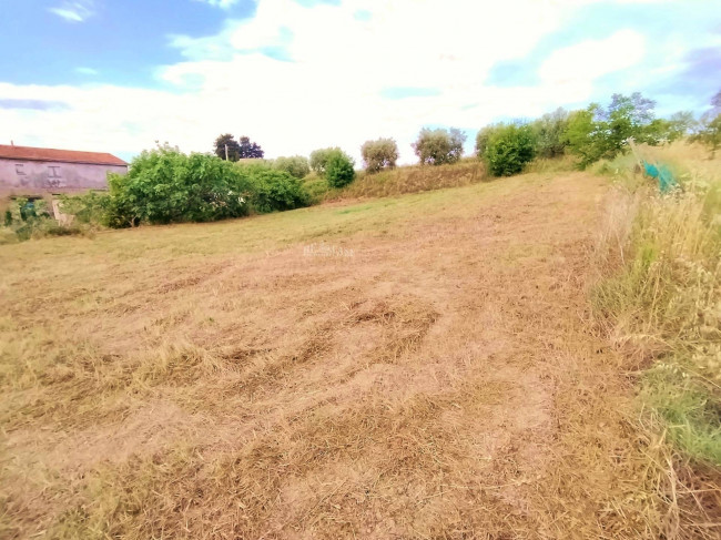 Casa singola in vendita a Monteprandone