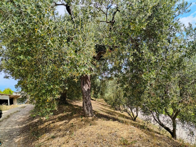 Casa singola in vendita a Monteprandone