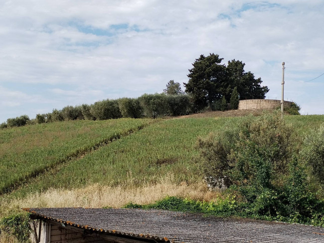 Casa singola in vendita a Monteprandone