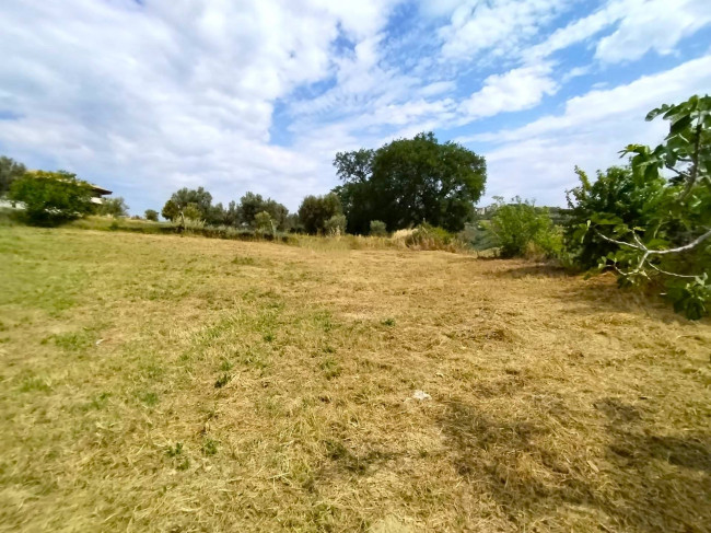 Casa singola in vendita a Monteprandone