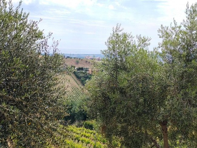 Casa singola in vendita a Monteprandone