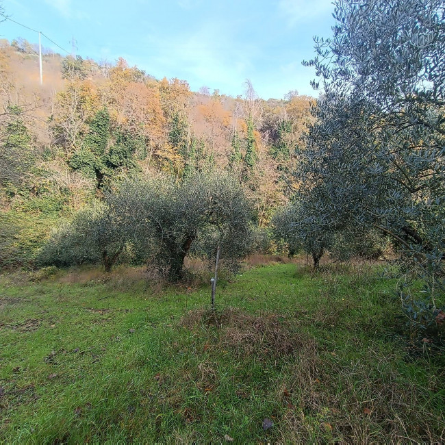 Rustico in vendita a Massignano