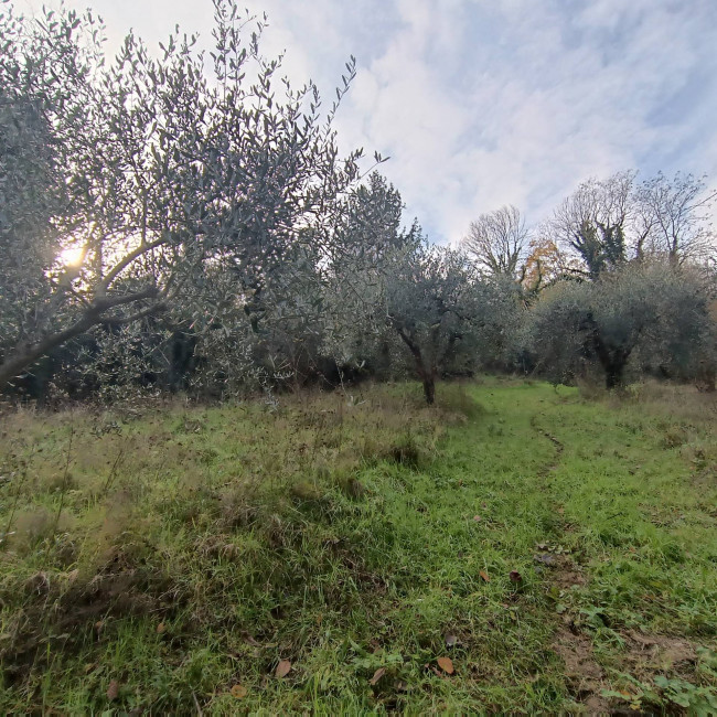 Rustico in vendita a Massignano