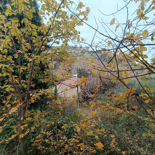 Rustico in vendita a Massignano