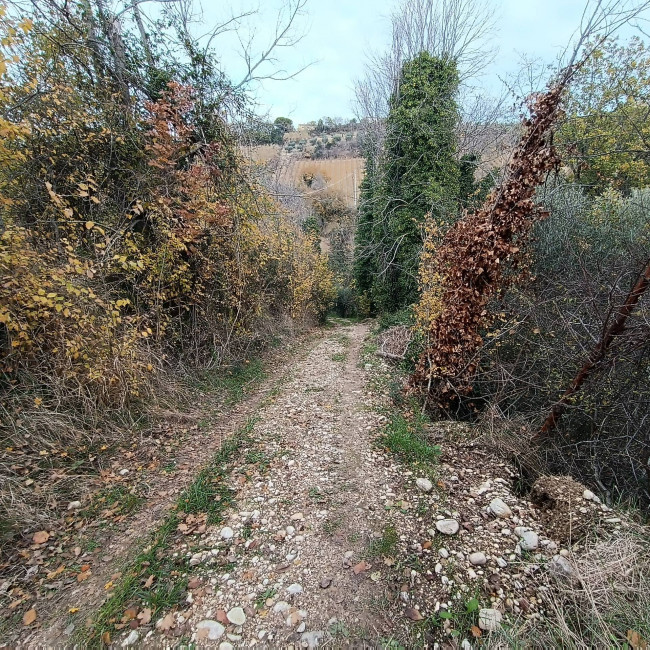 Rustico in vendita a Massignano