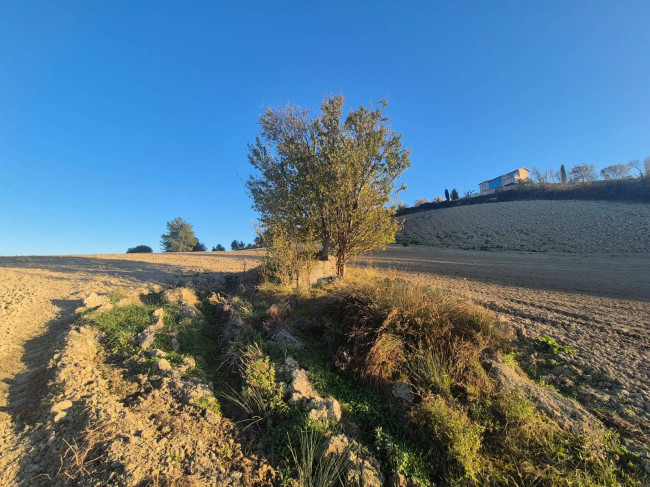 Rustico in vendita a Fermo