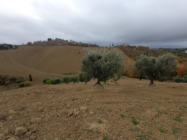 Rustico in vendita a Acquaviva Picena