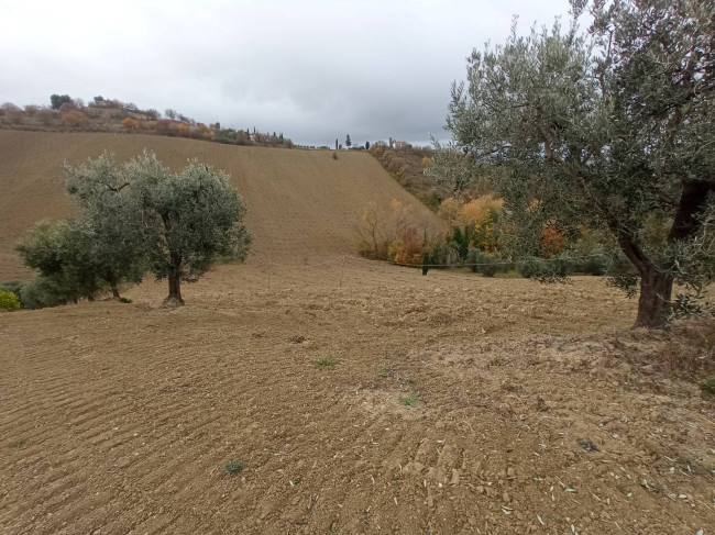 Rustico in vendita a Acquaviva Picena