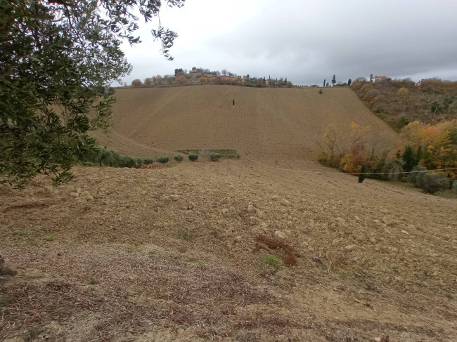 Rustico in vendita a Acquaviva Picena