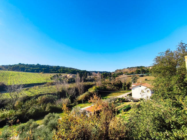 Appartamento in vendita a Massignano