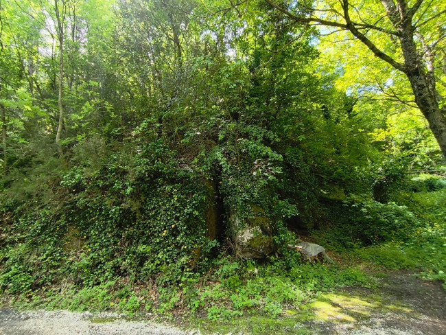 Terreno Agricolo in vendita a Acquasanta Terme